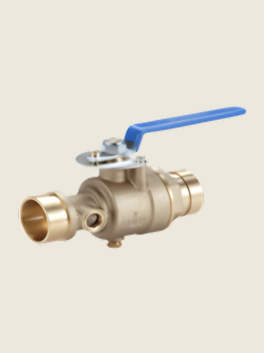 Test and Drain Valve