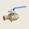 Test and Drain Valve