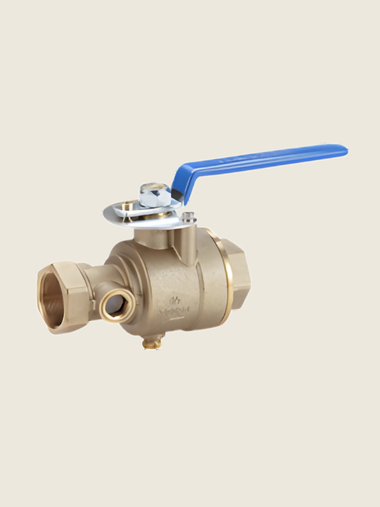 Test and Drain Valve